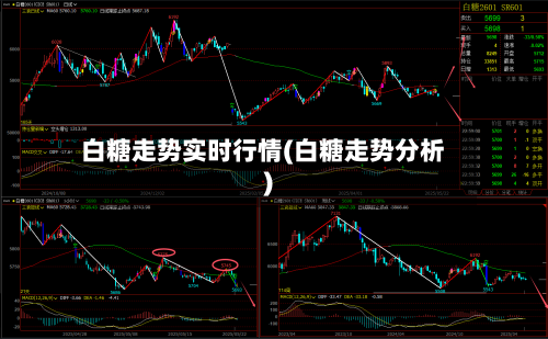 白糖走势实时行情(白糖走势分析)
