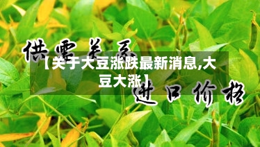 【关于大豆涨跌最新消息,大豆大涨】-第3张图片