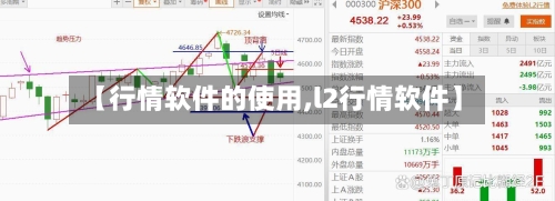 【行情软件的使用,l2行情软件】