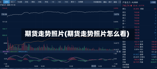 期货走势照片(期货走势照片怎么看)