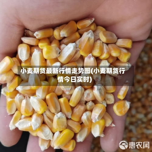 小麦期货最新行情走势图(小麦期货行情今日实时)-第2张图片