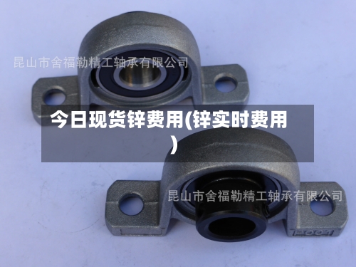 今日现货锌费用(锌实时费用)-第3张图片