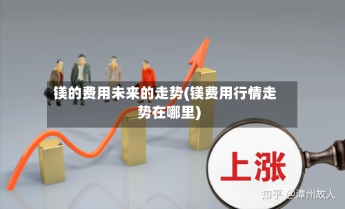 镁的费用未来的走势(镁费用行情走势在哪里)-第3张图片