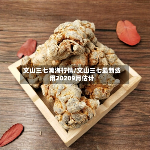 文山三七渤海行情/文山三七最新费用20209月估计