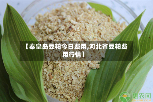 【秦皇岛豆粕今日费用,河北省豆粕费用行情】-第2张图片