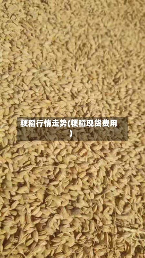 粳稻行情走势(粳稻现货费用)-第3张图片