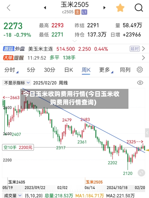 今日玉米收购费用行情(今日玉米收购费用行情查询)-第2张图片