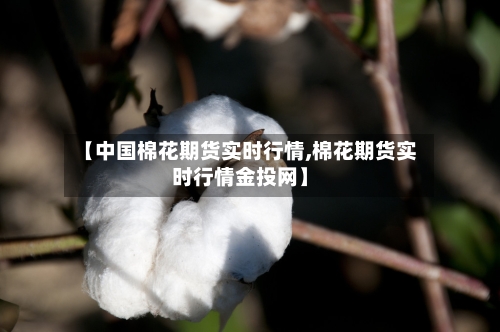 【中国棉花期货实时行情,棉花期货实时行情金投网】-第2张图片