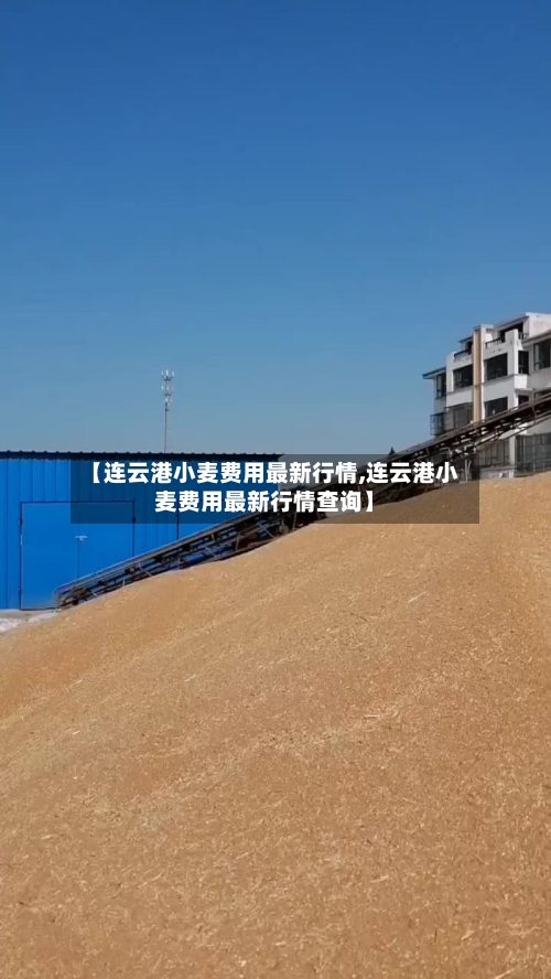【连云港小麦费用最新行情,连云港小麦费用最新行情查询】-第2张图片