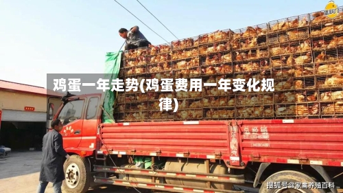 鸡蛋一年走势(鸡蛋费用一年变化规律)