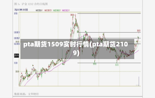 pta期货1509实时行情(pta期货2109)-第3张图片
