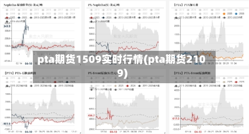 pta期货1509实时行情(pta期货2109)-第2张图片