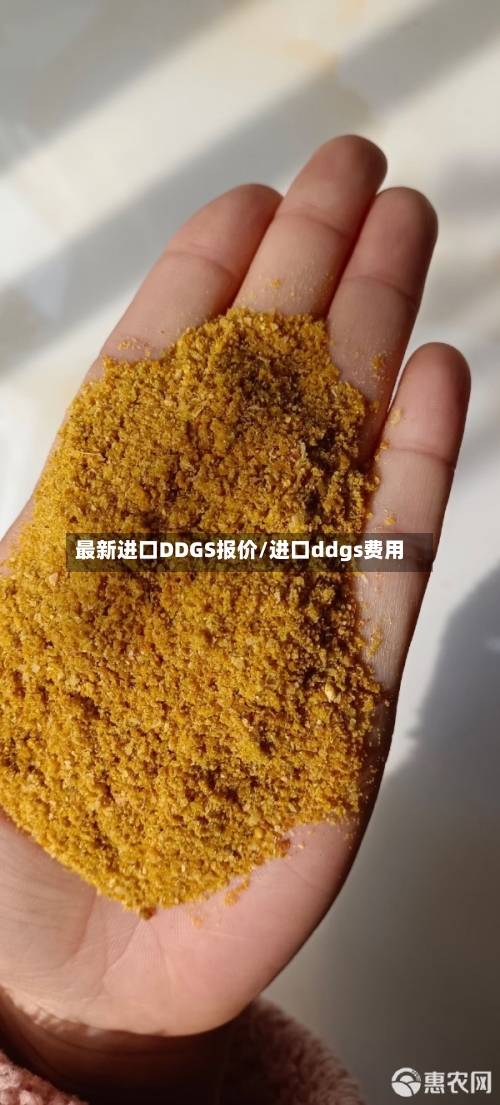 最新进口DDGS报价/进口ddgs费用