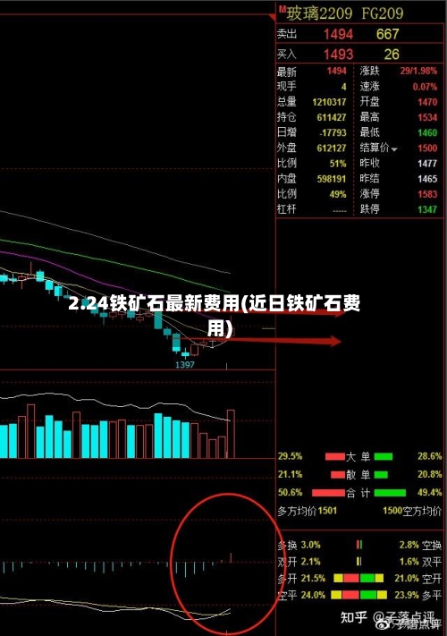 2.24铁矿石最新费用(近日铁矿石费用)