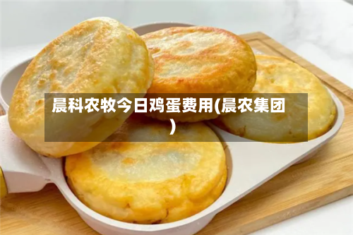 晨科农牧今日鸡蛋费用(晨农集团)-第3张图片