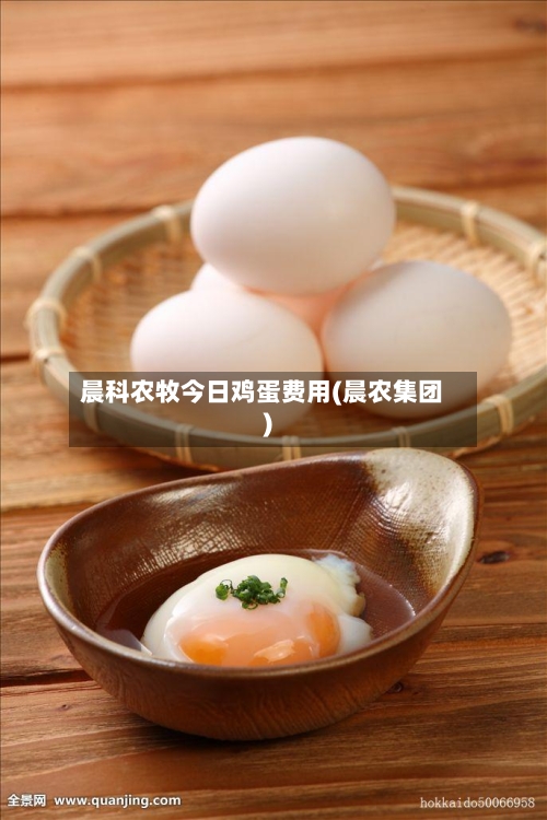 晨科农牧今日鸡蛋费用(晨农集团)-第2张图片
