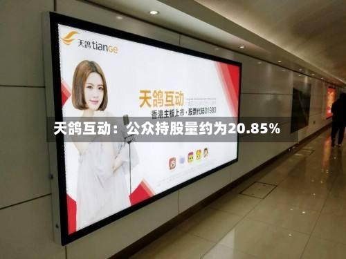 天鸽互动：公众持股量约为20.85%-第2张图片