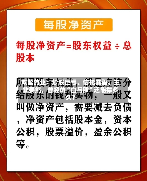 双鹭药业：炒股巨亏、信托暴雷	、主业萎缩，曾经的“白马股	”还能撑多久？-第2张图片