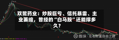 双鹭药业：炒股巨亏、信托暴雷、主业萎缩，曾经的“白马股”还能撑多久？-第3张图片