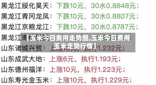 【玉米今日费用走势图,玉米今日费用玉米走势行情】-第2张图片