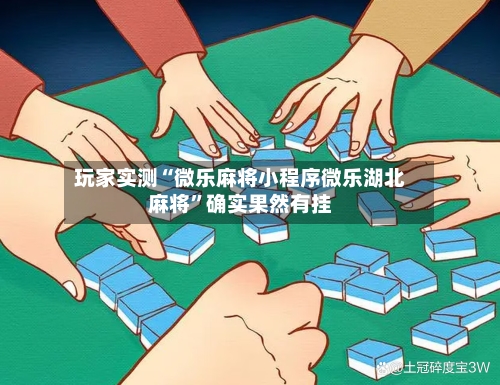 玩家实测“微乐麻将小程序微乐湖北麻将	”确实果然有挂-第3张图片