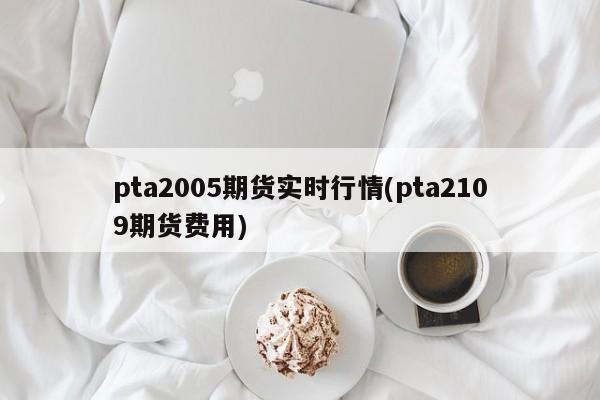 pta2005期货实时行情(pta2109期货费用)