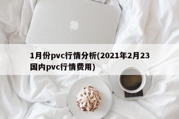1月份pvc行情分析(2021年2月23国内pvc行情费用)