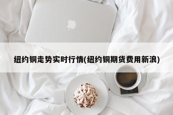 纽约铜走势实时行情(纽约铜期货费用新浪)