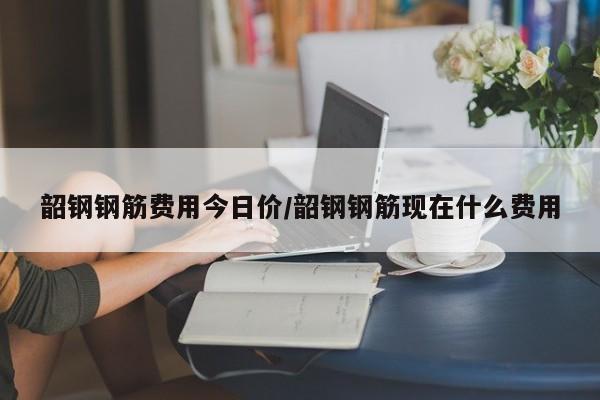 韶钢钢筋费用今日价/韶钢钢筋现在什么费用