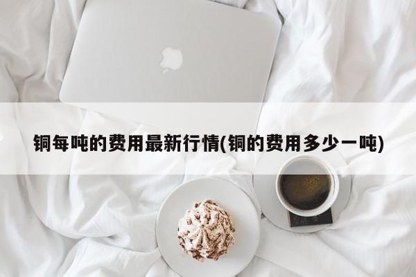 铜每吨的费用最新行情(铜的费用多少一吨)