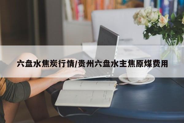 六盘水焦炭行情/贵州六盘水主焦原煤费用