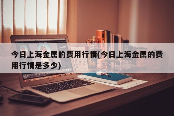 今日上海金属的费用行情(今日上海金属的费用行情是多少)