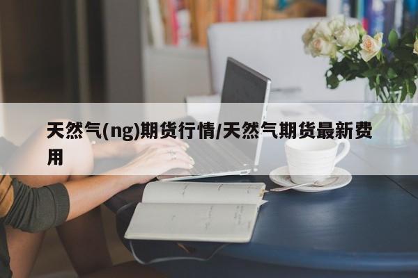 天然气(ng)期货行情/天然气期货最新费用