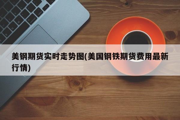 美钢期货实时走势图(美国钢铁期货费用最新行情)