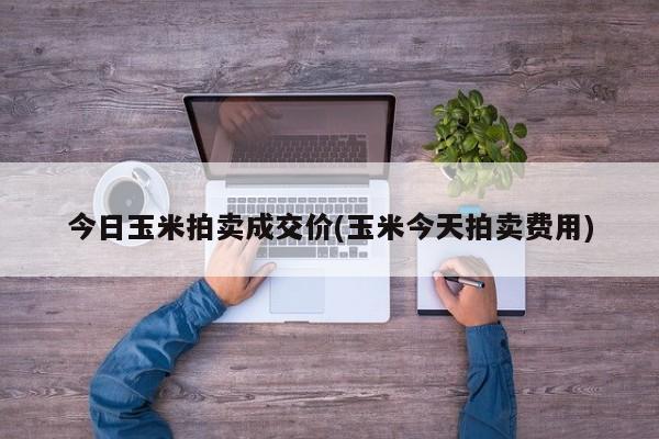 今日玉米拍卖成交价(玉米今天拍卖费用)