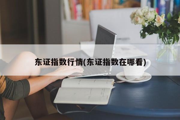 东证指数行情(东证指数在哪看)