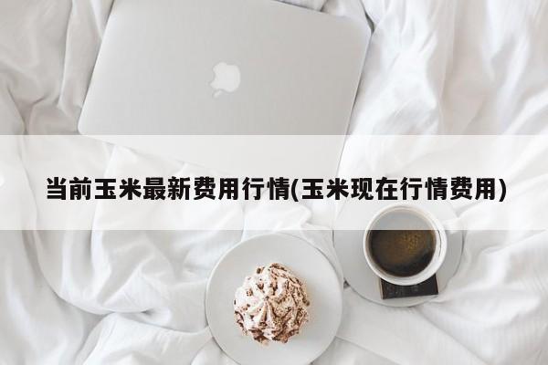 当前玉米最新费用行情(玉米现在行情费用)