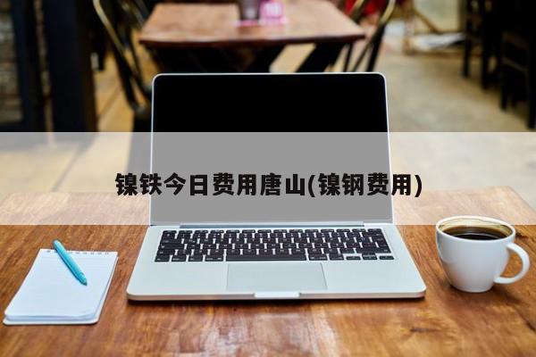 镍铁今日费用唐山(镍钢费用)