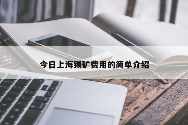 今日上海锡矿费用的简单介绍
