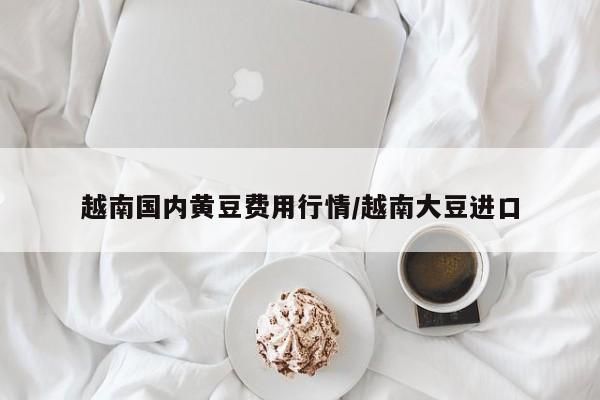 越南国内黄豆费用行情/越南大豆进口