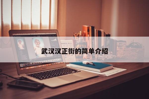 武汉汉正街的简单介绍