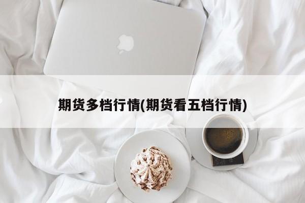期货多档行情(期货看五档行情)