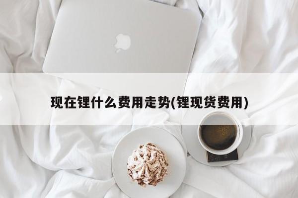 现在锂什么费用走势(锂现货费用)