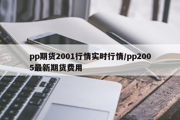 pp期货2001行情实时行情/pp2005最新期货费用
