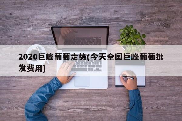 2020巨峰葡萄走势(今天全国巨峰葡萄批发费用)