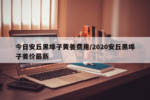 今日安丘黑埠子黄姜费用/2020安丘黑埠子姜价最新
