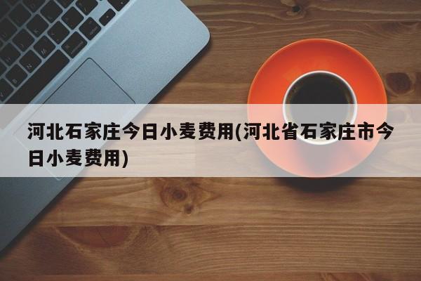 河北石家庄今日小麦费用(河北省石家庄市今日小麦费用)