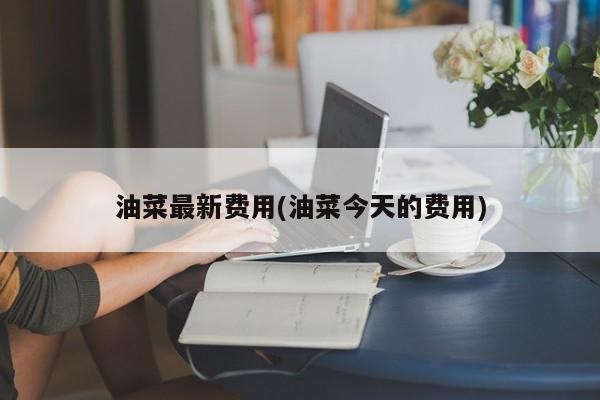 油菜最新费用(油菜今天的费用)