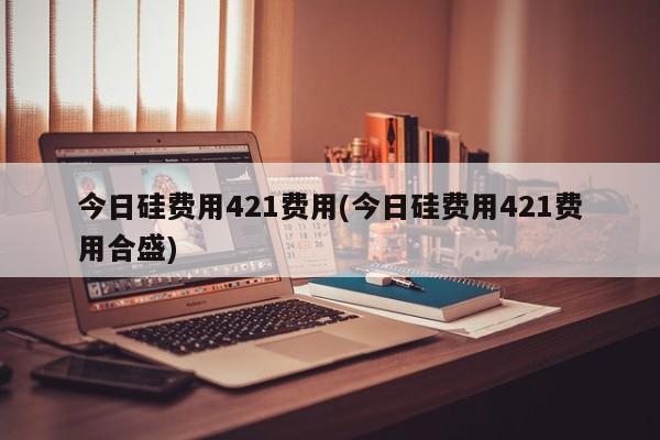 今日硅费用421费用(今日硅费用421费用合盛)