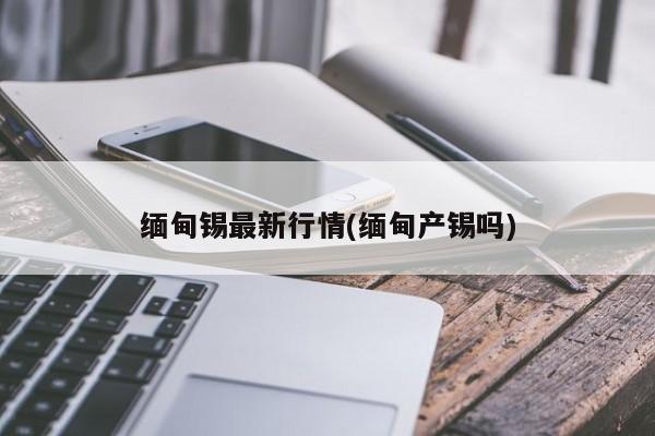 缅甸锡最新行情(缅甸产锡吗)